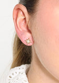 Puces d'Oreilles Étoile du Nord