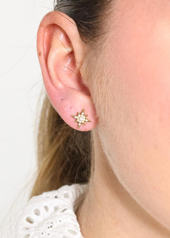Puces d'Oreilles Étoile du Nord