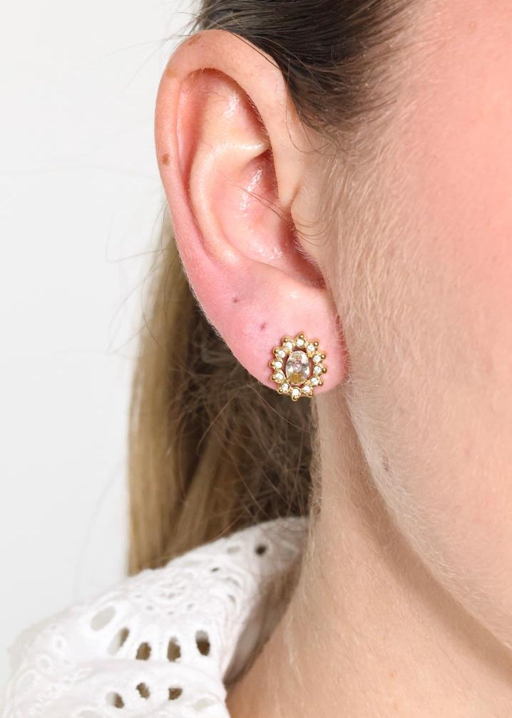 Puces d'Oreilles Marguerite Royale